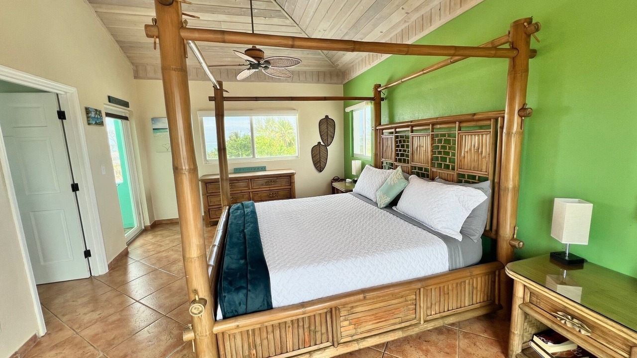 Photo of Bedroom in North Palmetto Point
