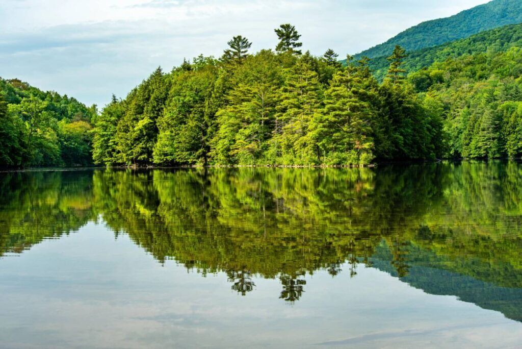 Photo of Others in Stratton Mountain