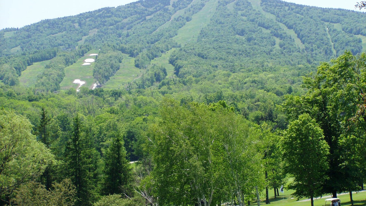 Photo of Others in Stratton Mountain