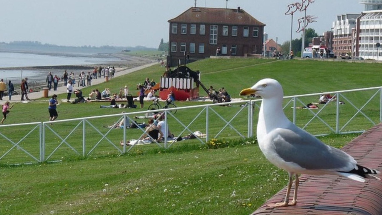 Photo of Outdoor in Innenhafen