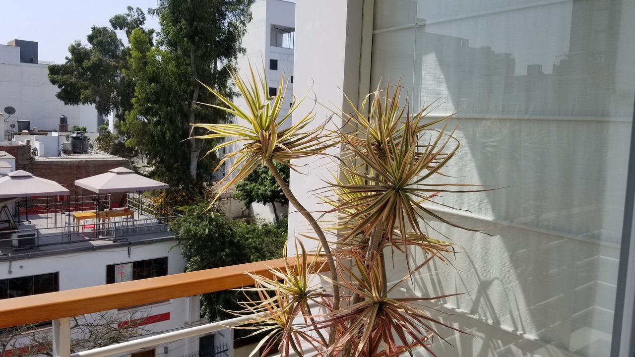 Photo of Outdoor in Reducto
