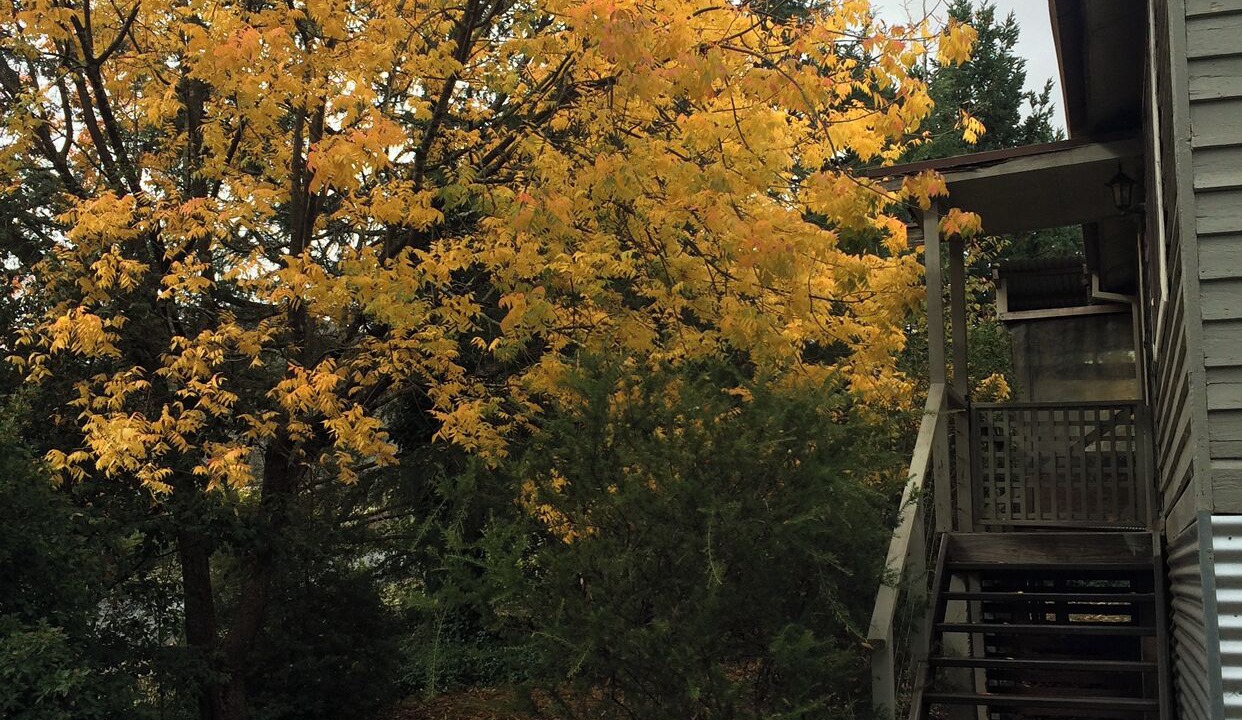 Photo of Outdoor in Talbingo