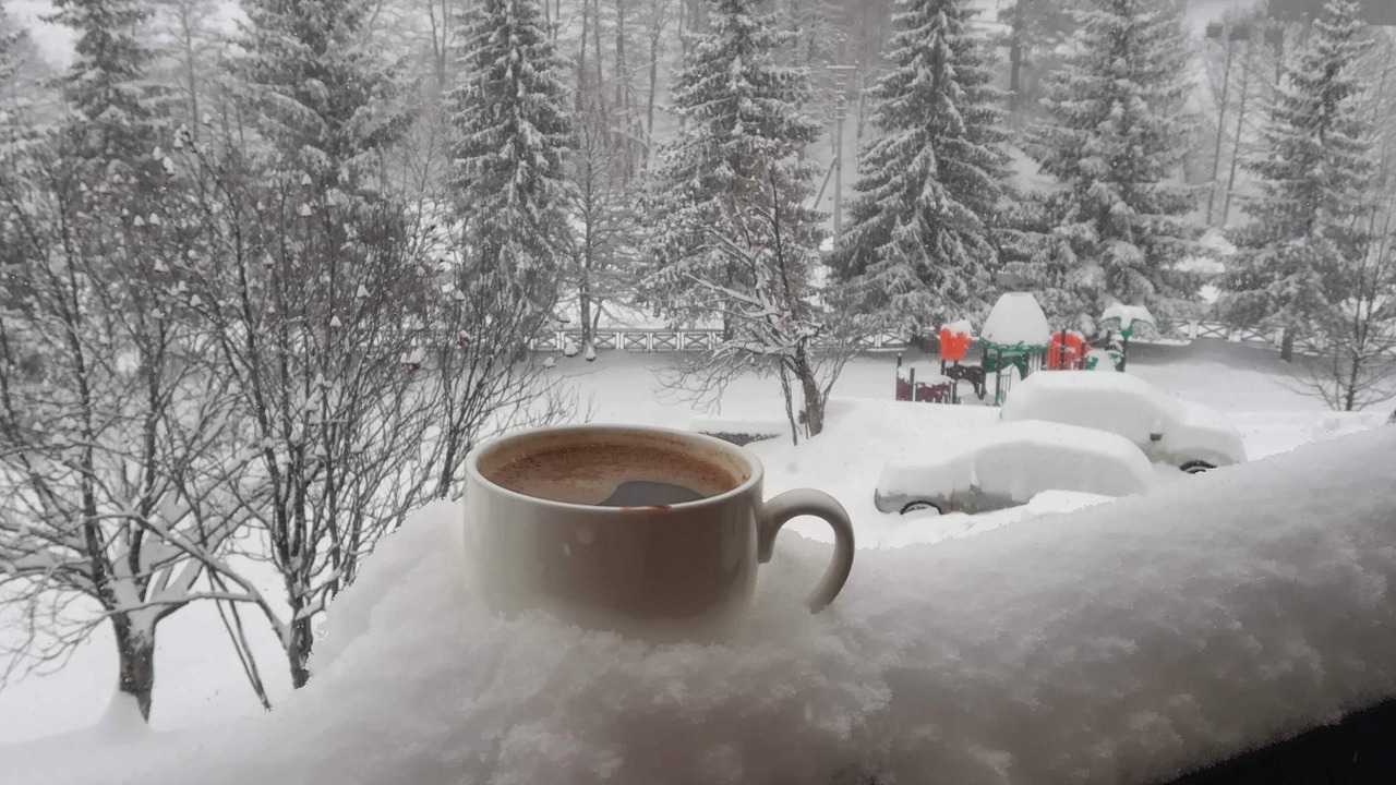 Photo of Outdoor in Bakuriani