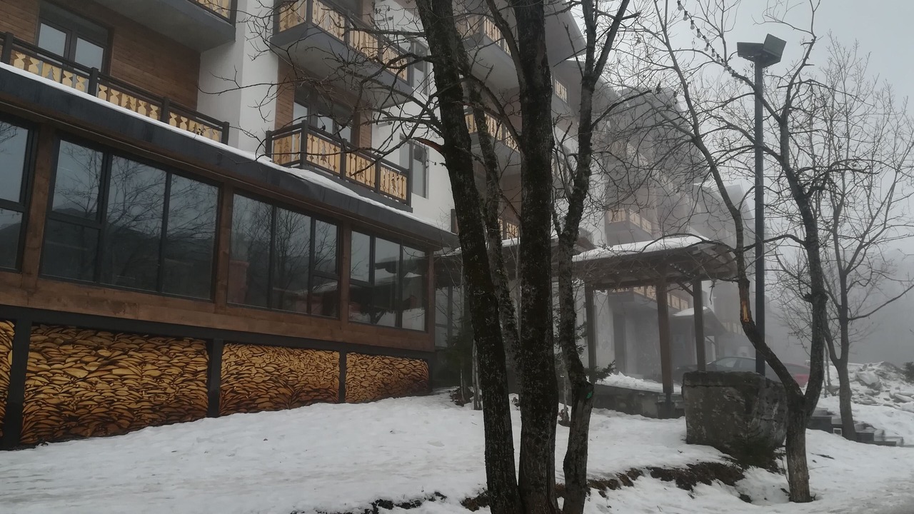 Photo of Outdoor in Bakuriani