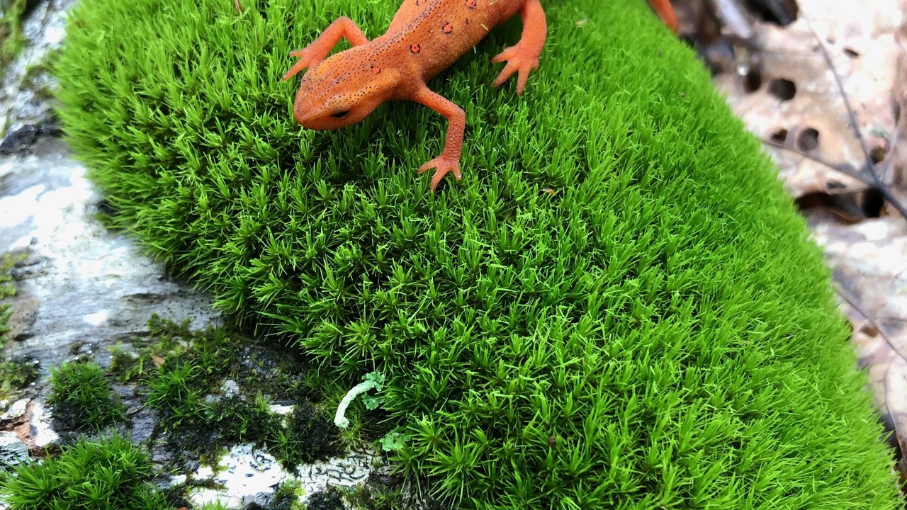 Photo of Outdoor in Washington