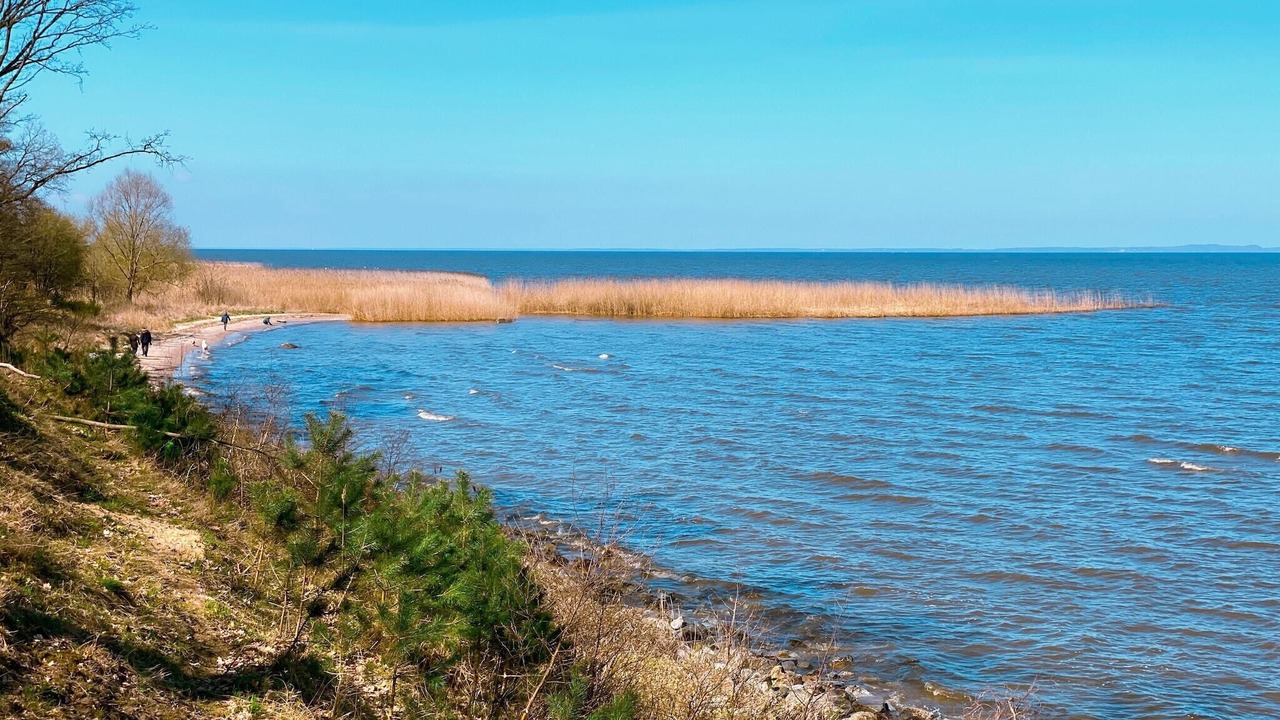 Photo of Others in Miroszewo