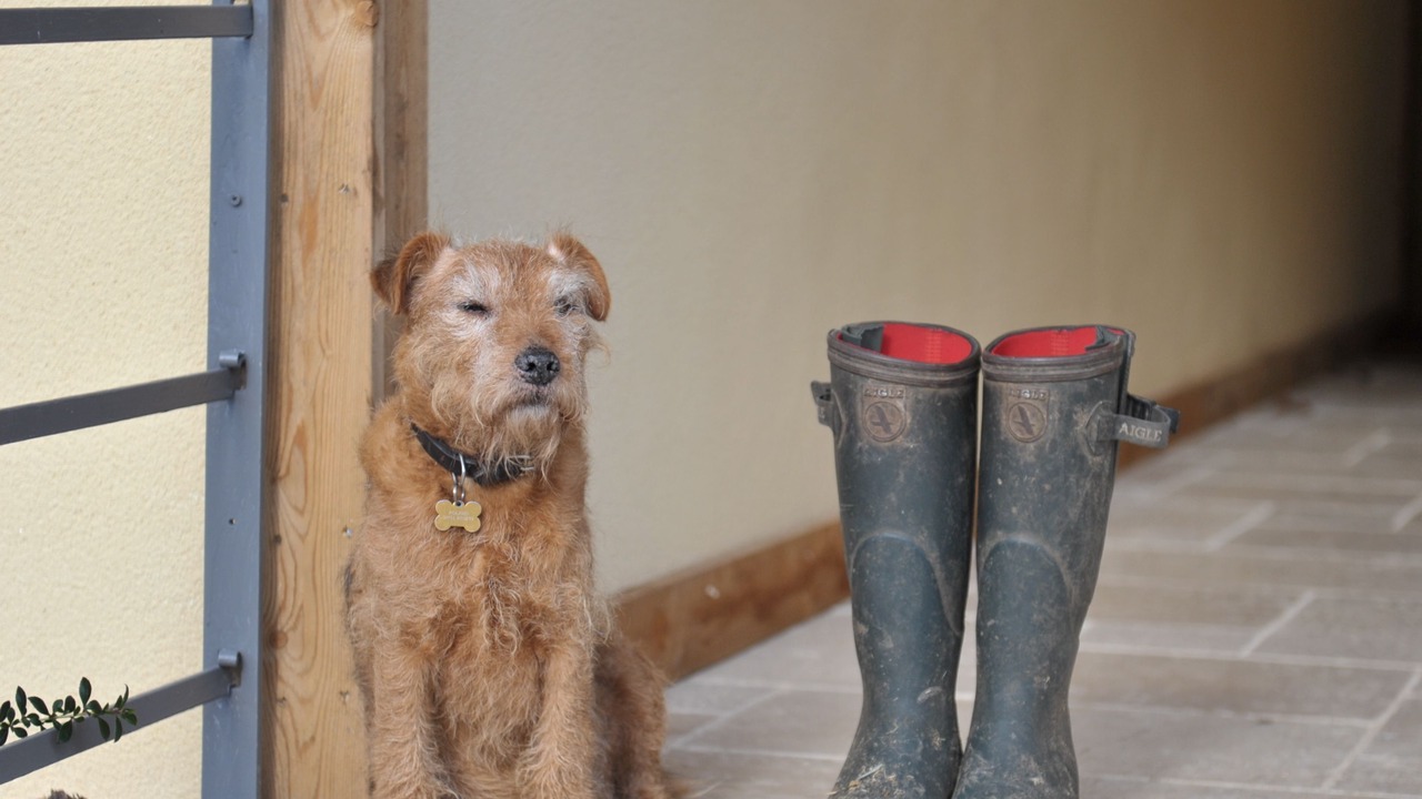 Photo of Others in Chedworth