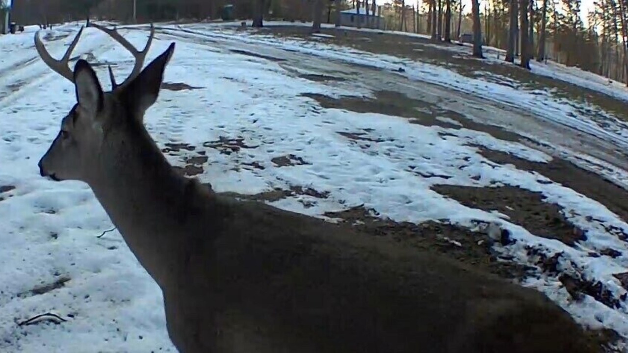 Photo of Others in Big Rapids