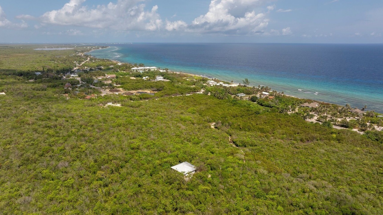 Photo of Outdoor in North Side