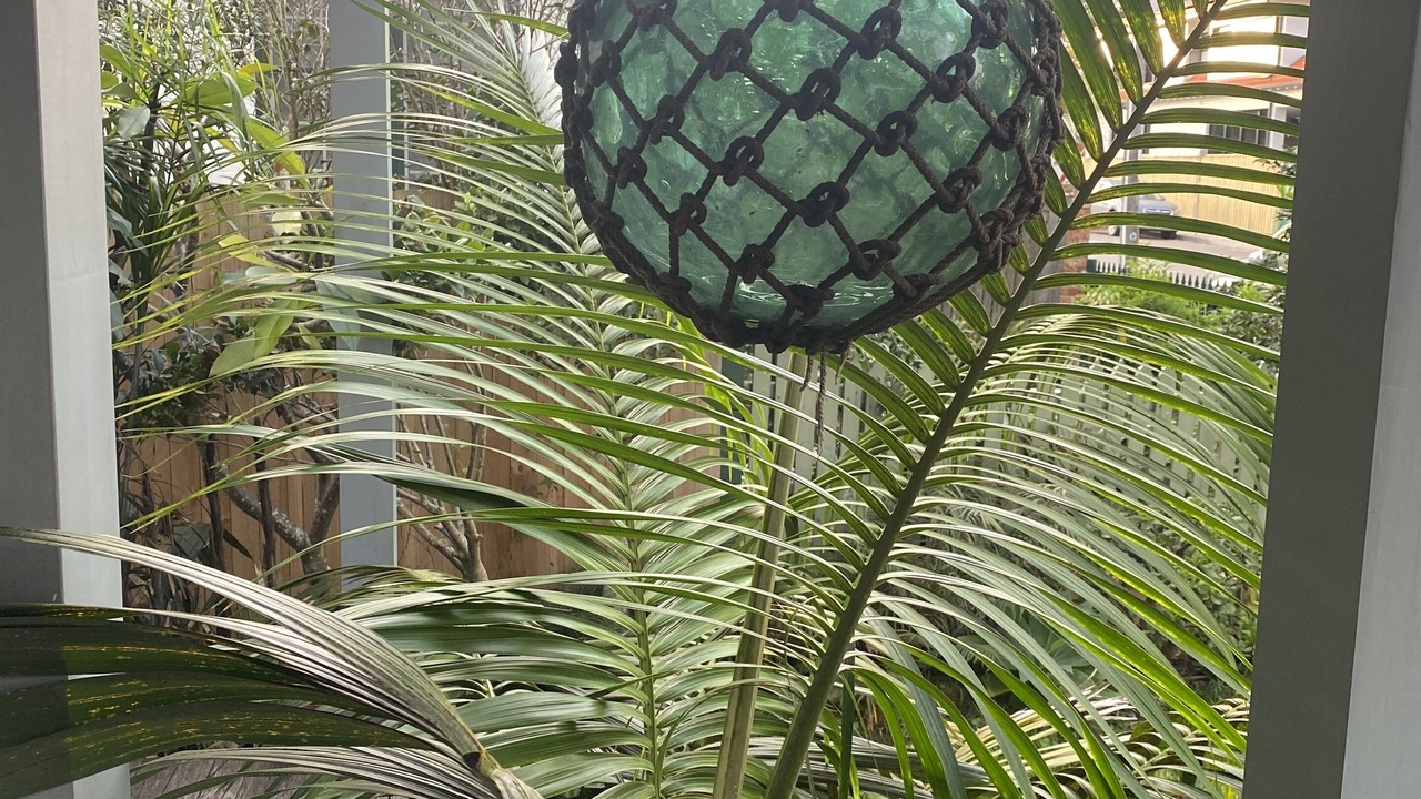 Photo of Outdoor in Manly
