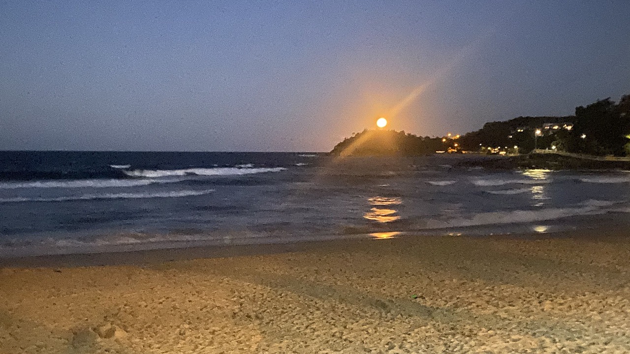Photo of Others in Manly