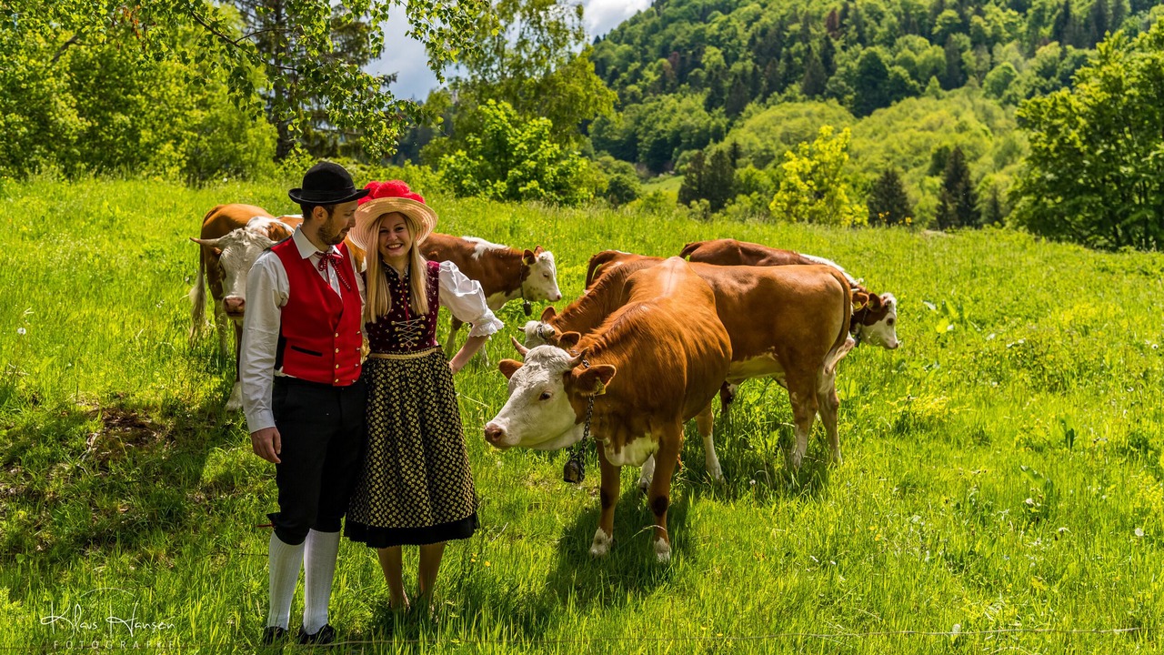 Photo of Outdoor in Todtnauberg