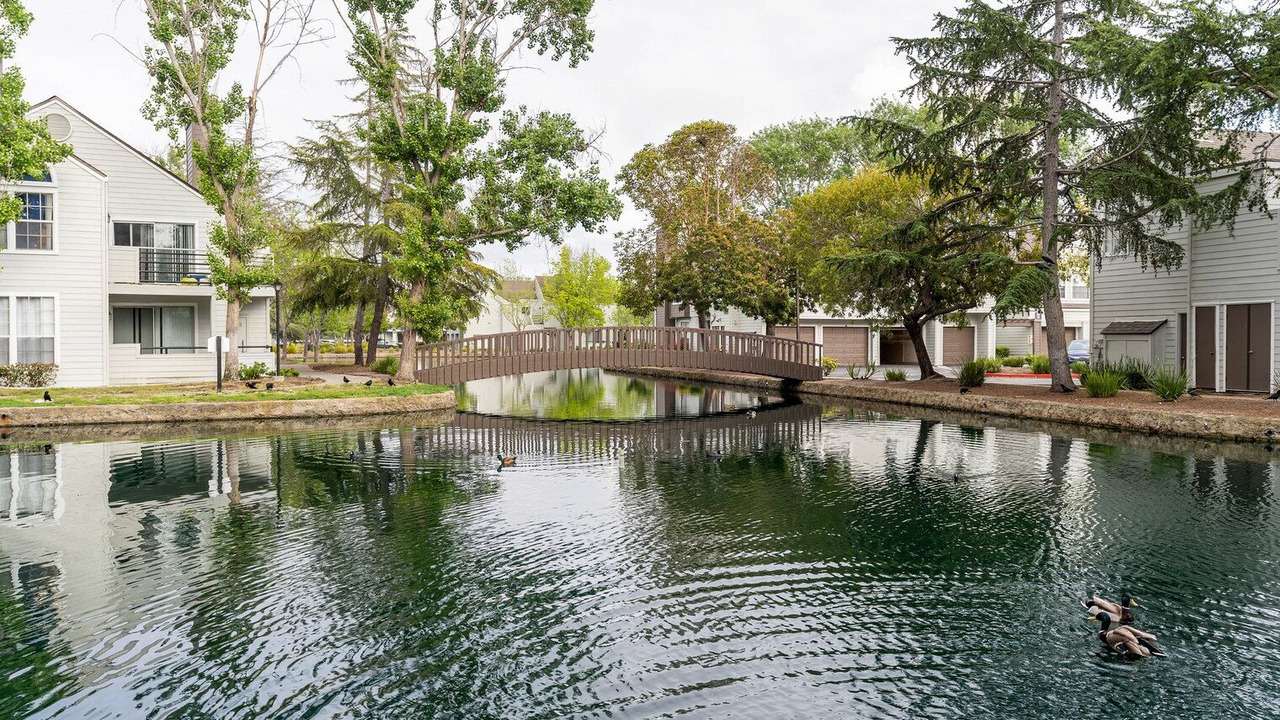 Photo of Outdoor in Redwood Shores