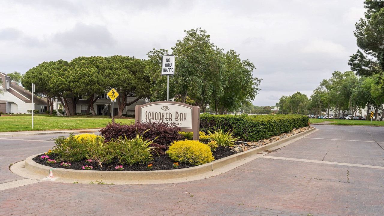 Photo of Outdoor in Redwood Shores