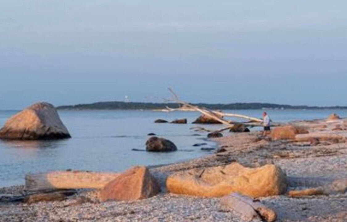 Photo of Others in Orient Point