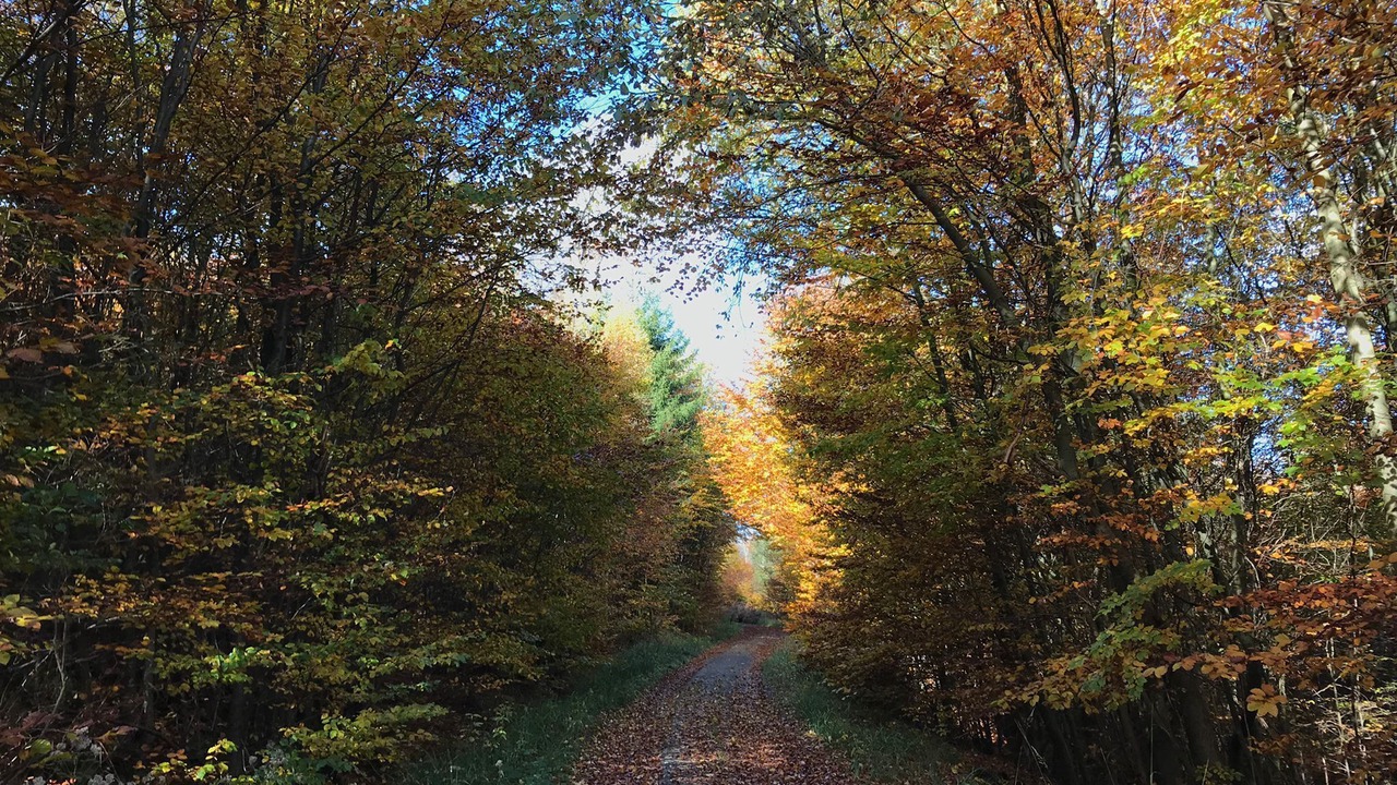 Photo of Outdoor in Horn