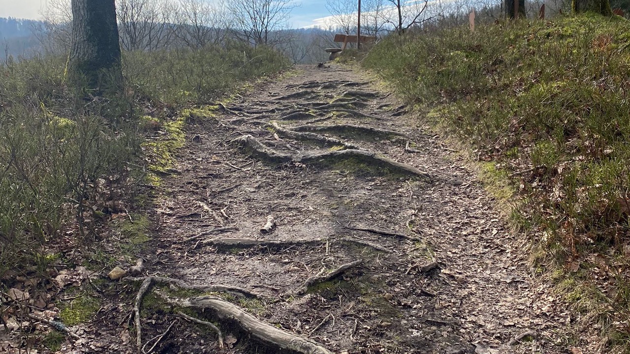 Photo of Outdoor in Horn