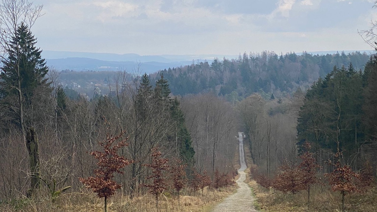 Photo of Outdoor in Horn