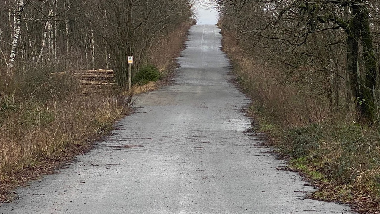Photo of Outdoor in Horn