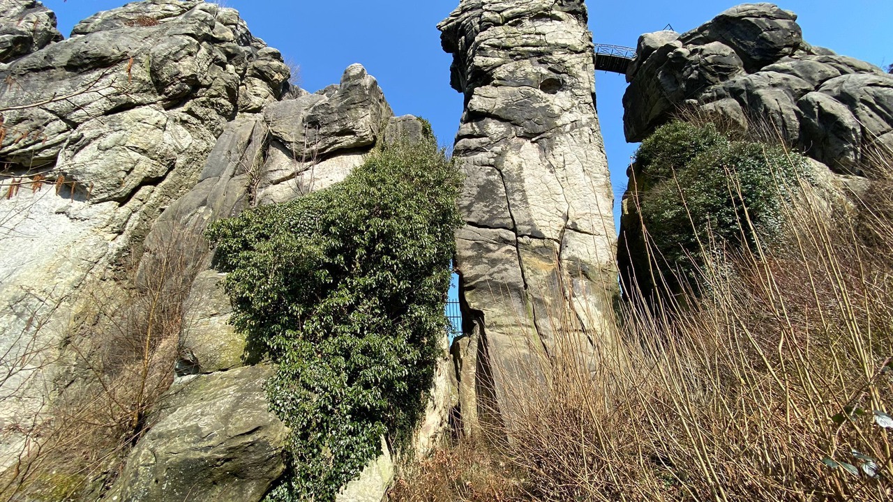 Photo of Outdoor in Horn