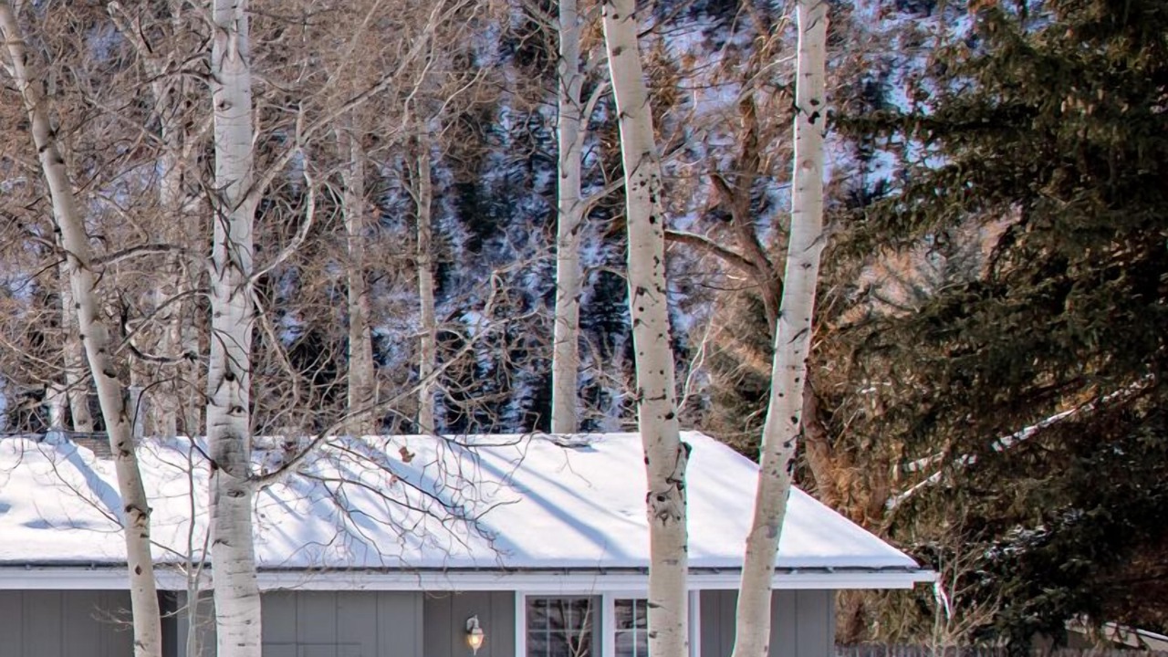 Photo of Others in Snowmass Village