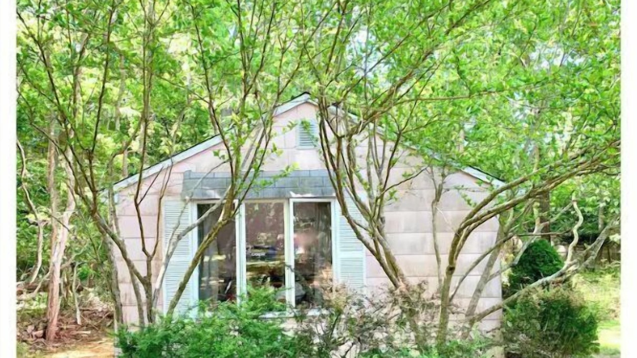 Photo of Outdoor in East Hampton North