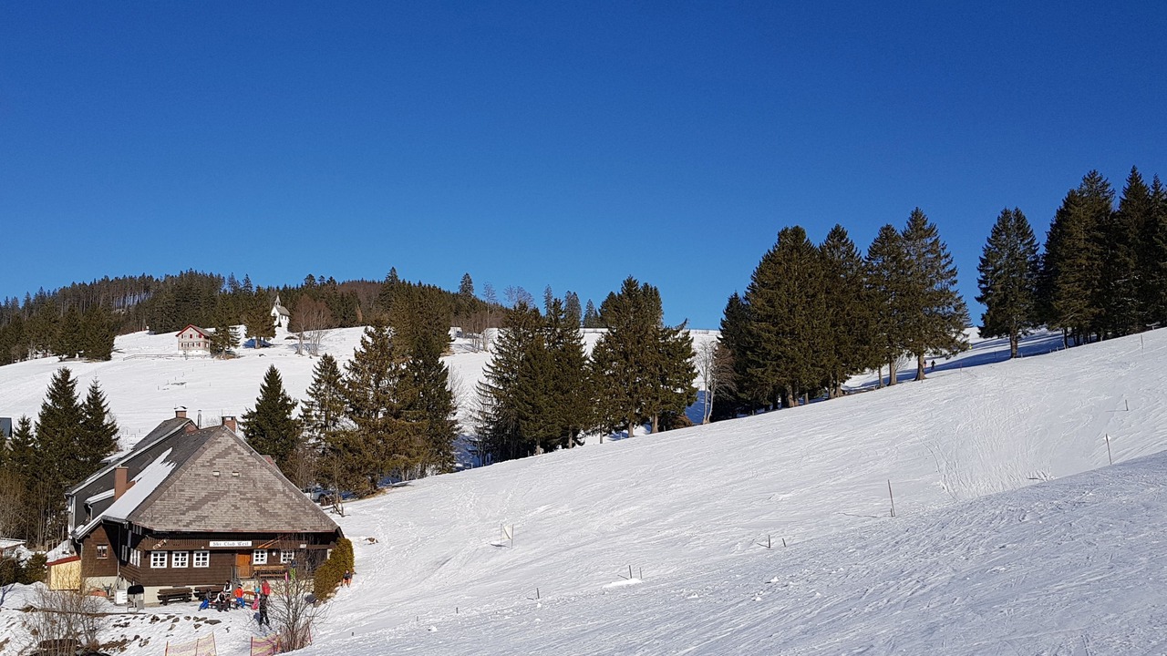 Photo of Others in Todtnauberg