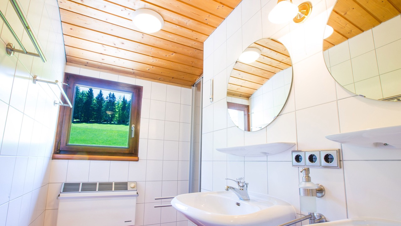 Photo of Bathroom in Todtnauberg
