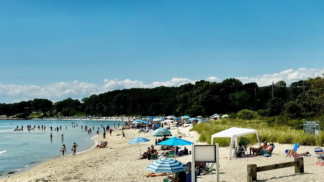 Photo of Others in Niantic
