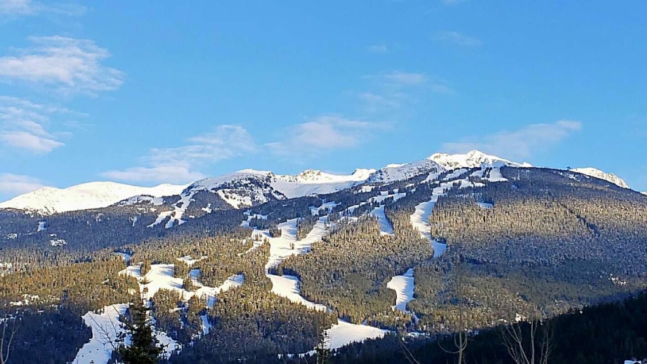 Photo of Outdoor in Blueberry Hill