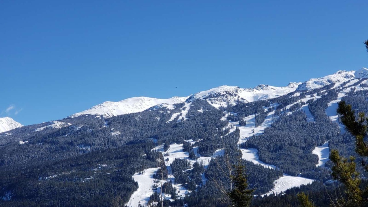 Photo of Outdoor in Blueberry Hill