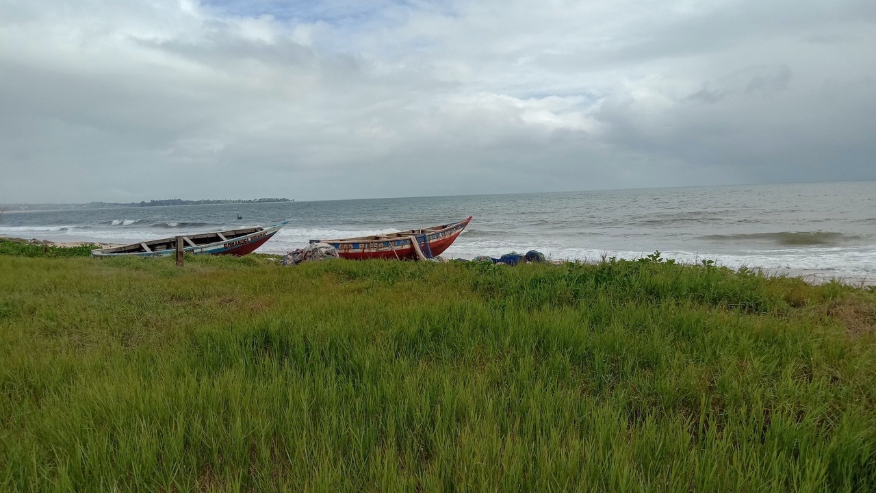 Photo of Others in Freetown