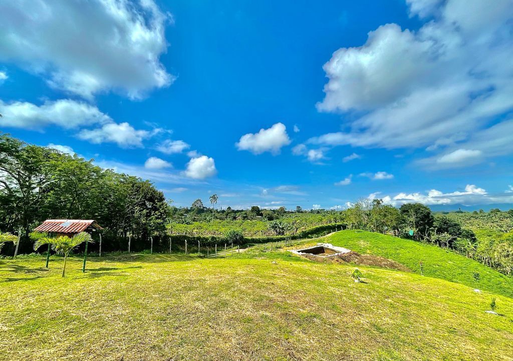 Photo of Outdoor in Quimbaya
