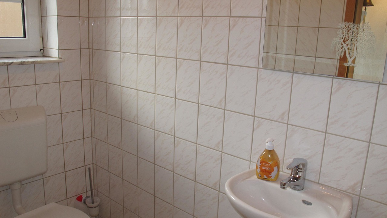 Photo of Bathroom in Moorhusen