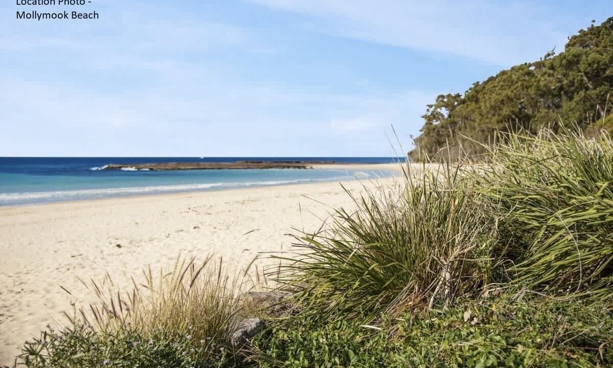Photo of Others in Mollymook Beach