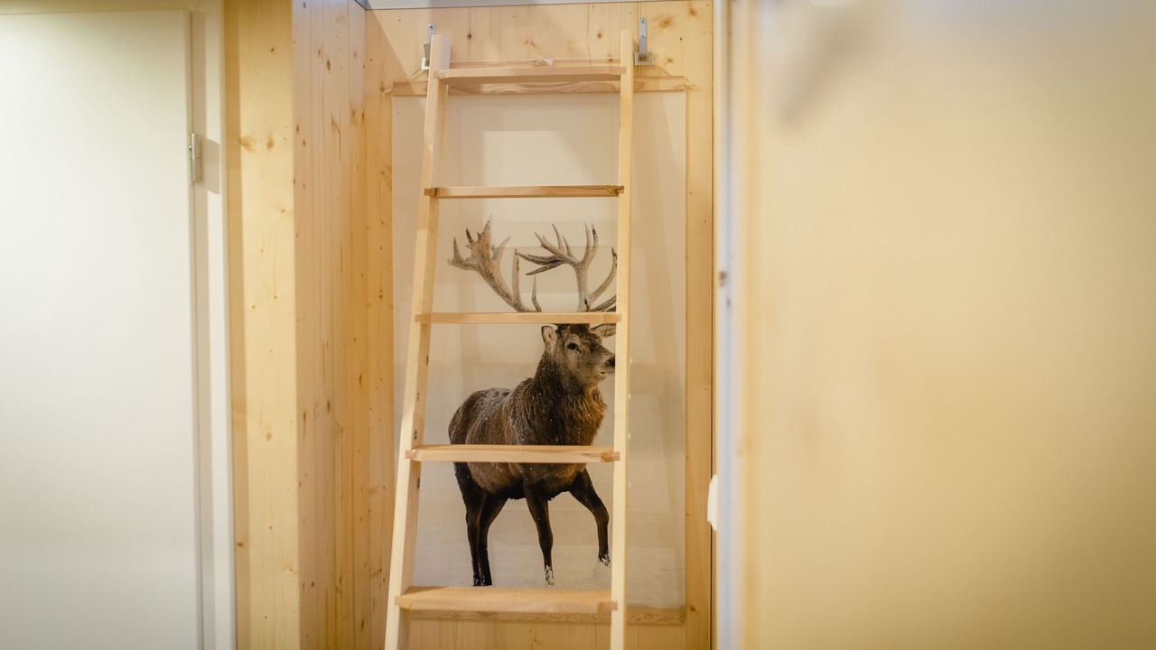 Photo of Others in Wald