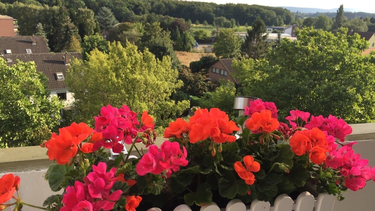Photo of Outdoor in Ricklingen