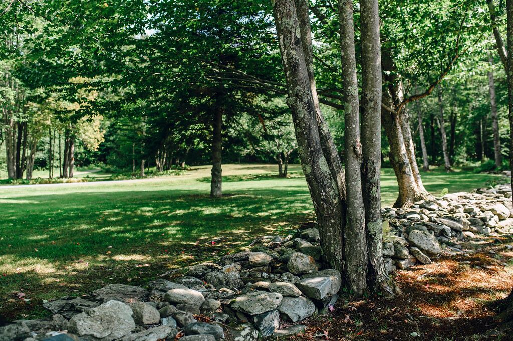 Photo of Outdoor in Stowe Area