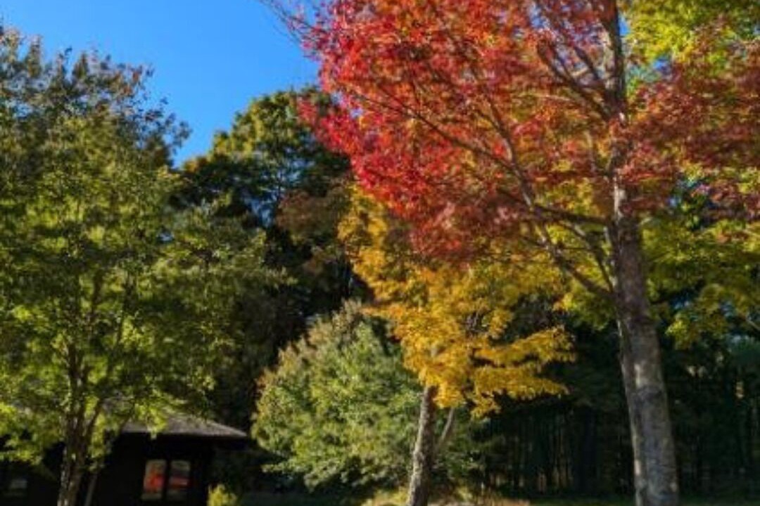Photo of Others in Stowe Area