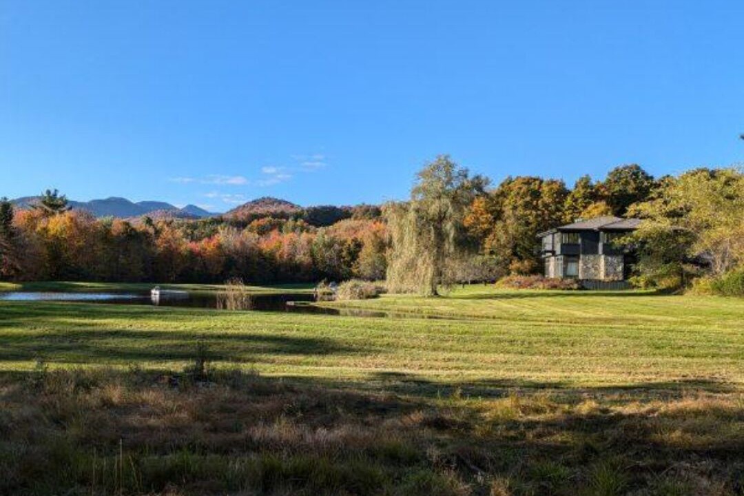 Photo of Others in Stowe Area
