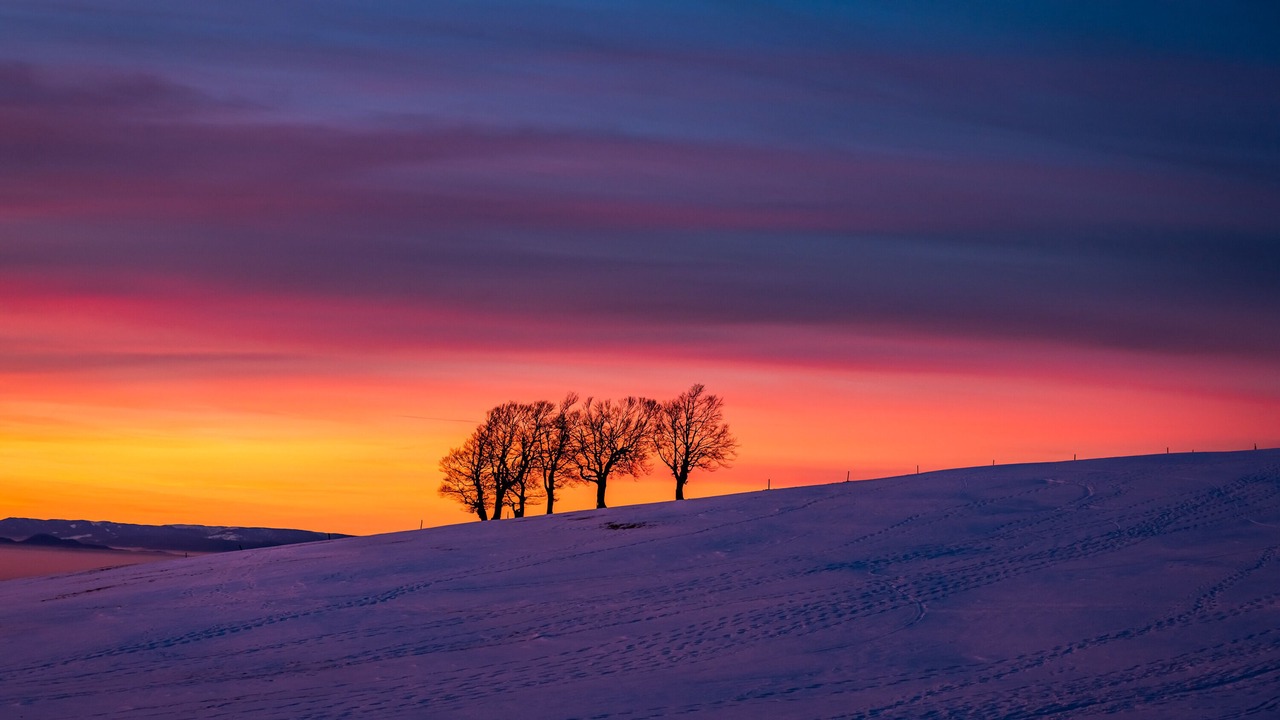 Photo of Others in Feldberg
