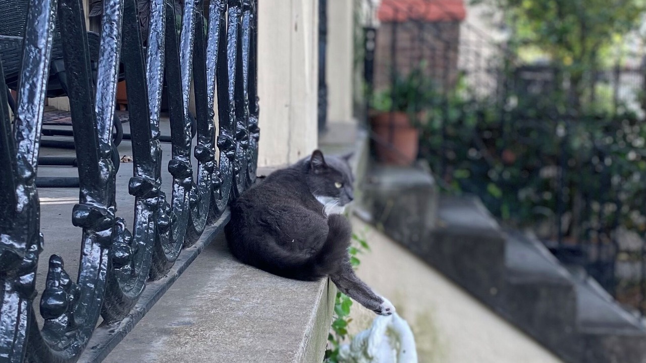 Photo of Outdoor in Lower Garden District