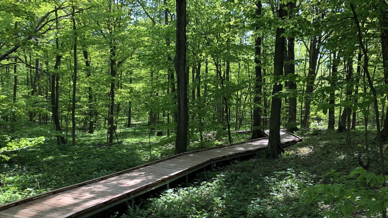 Photo of Outdoor in Onekama