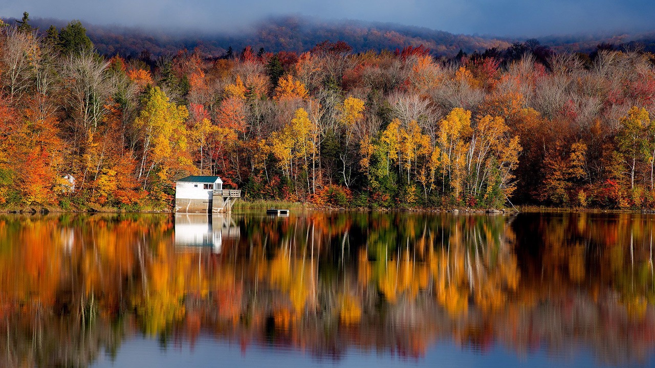 Photo of Others in Mendon