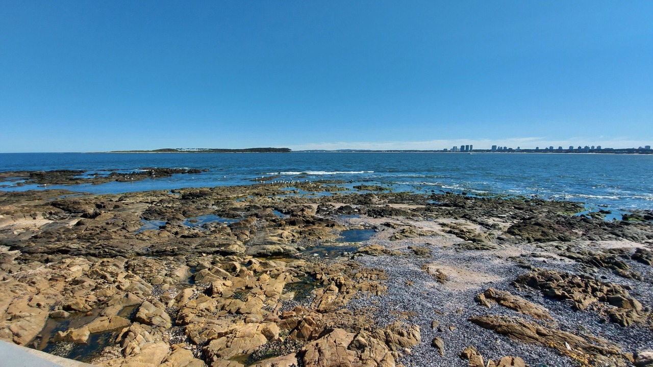 Photo of Others in Punta del Este
