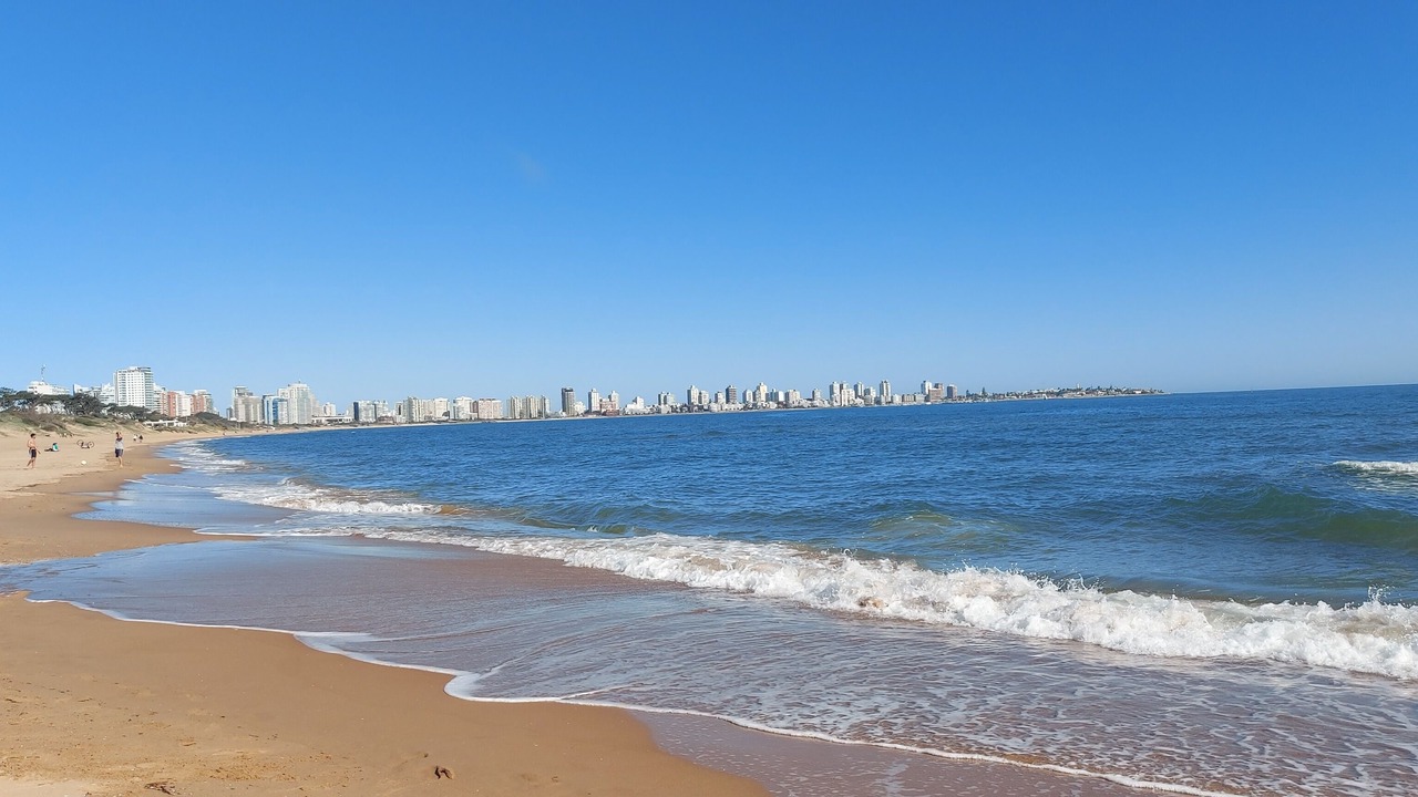 Photo of Others in Punta del Este