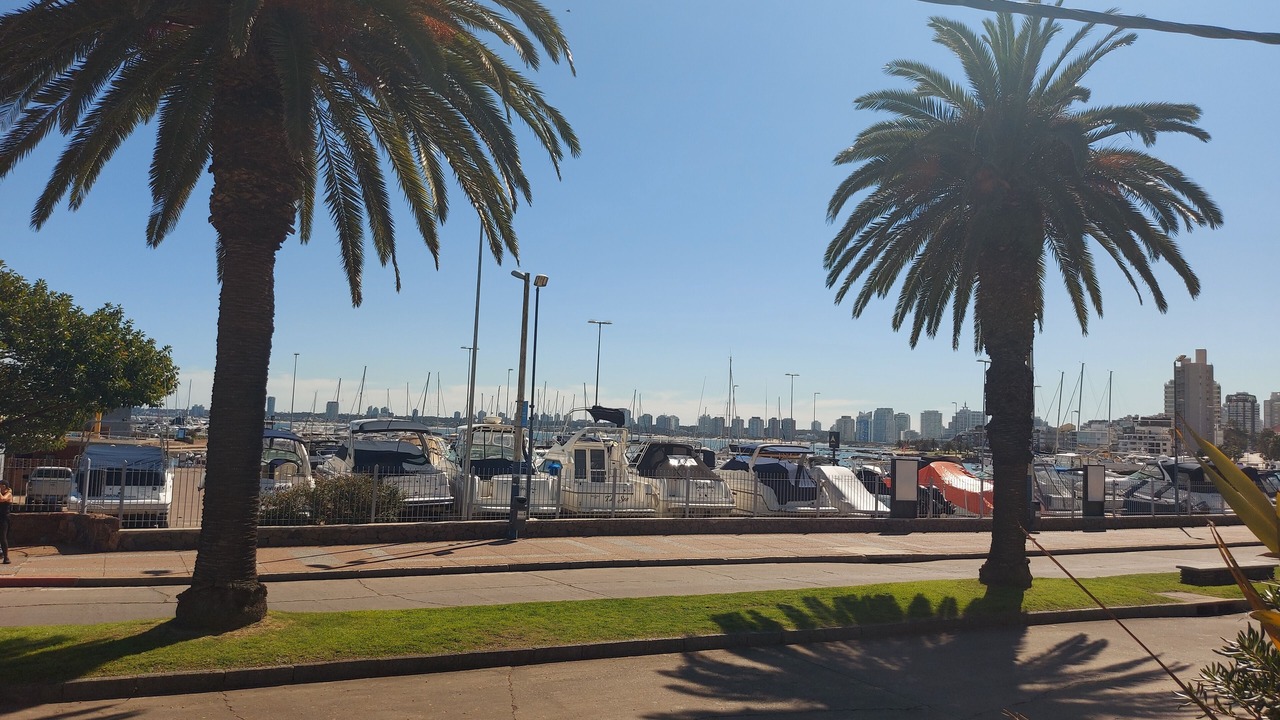 Photo of Others in Punta del Este