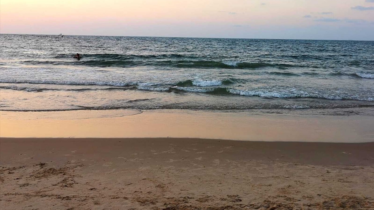 Photo of Others in Ashkelon