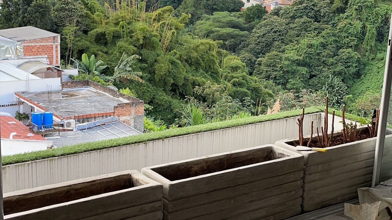 Photo of Others in Pereira