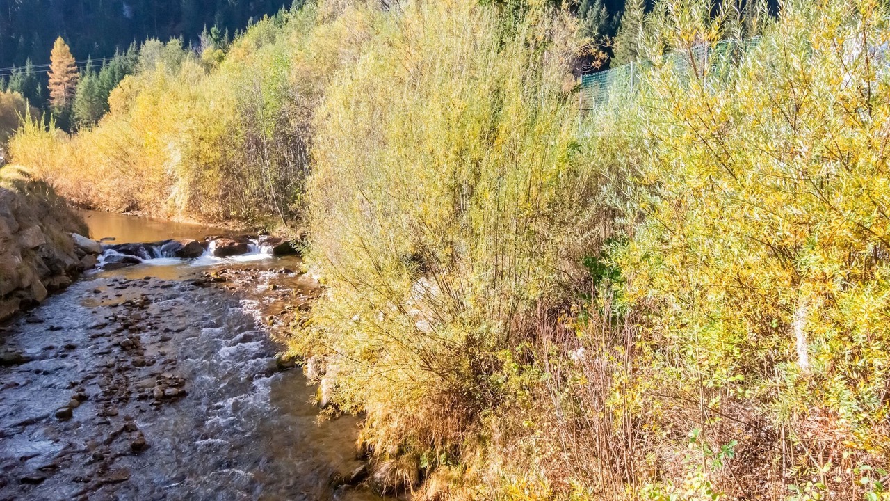 Photo of Others in Bichlbach